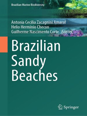 cover image of Brazilian Sandy Beaches
